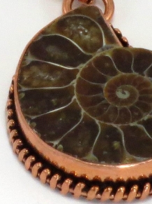 Ammonite Fossil Copper